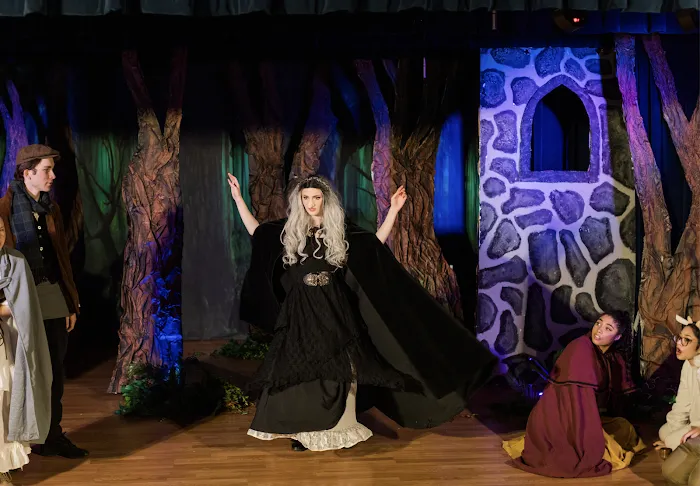 Starlight Dance Studios and Theater Picture 10