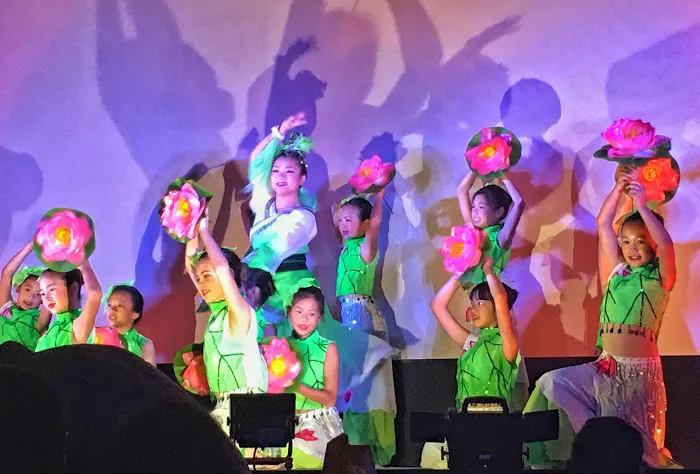 AH-LAN DANCE Picture 4
