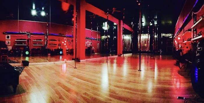 Spin Sity Pole Dance and Fitness Studio Picture 1