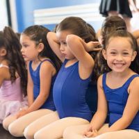 Tiffany's Dance Academy of Danville ico