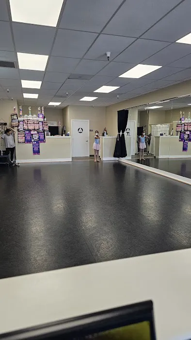 The Dancer's Institute Picture 1