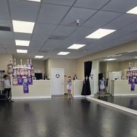 The Dancer's Institute ico