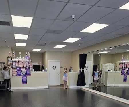 The Dancer's Institute
