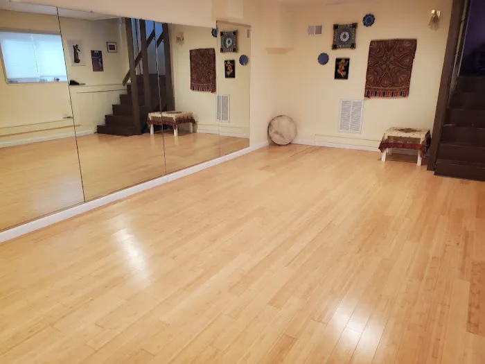 SDA-Shahrzad Dance Academy Picture 3