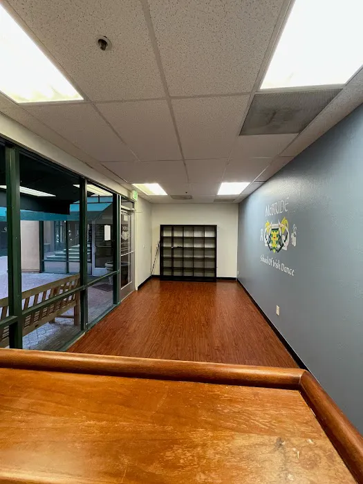 McBride School of Irish Dance Studio Picture 4
