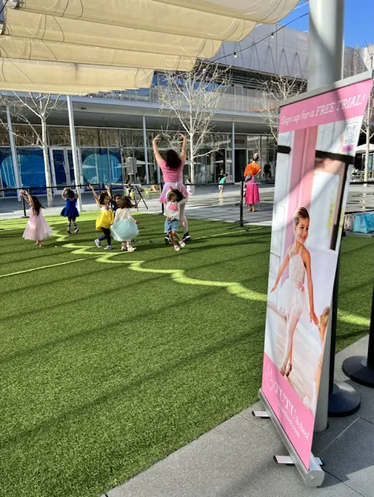 Tutu School San Ramon Picture 2