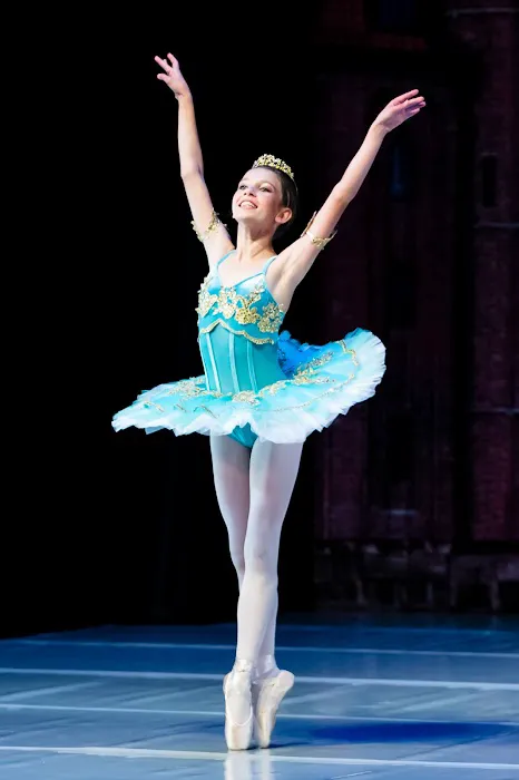 Soo Dance Academy Picture 1