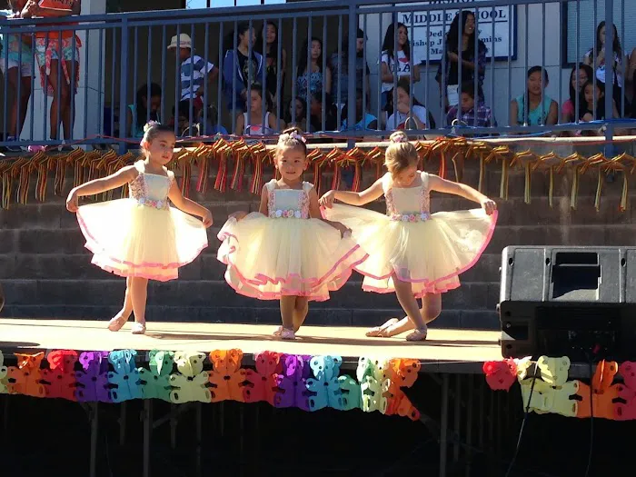 Broadway Rhythm Dance Company Picture 2