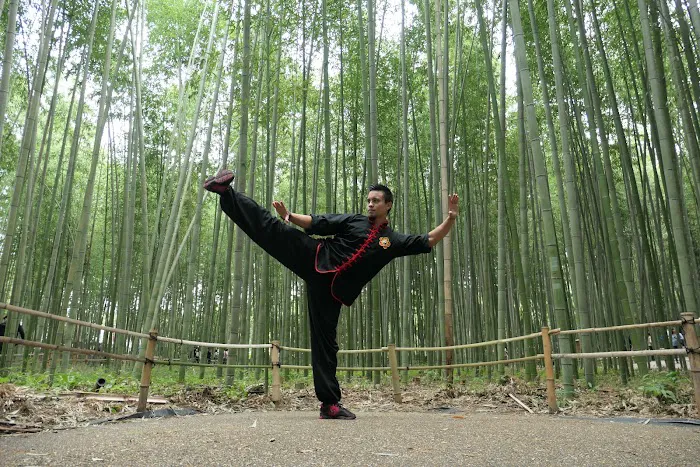 Concord Kung Fu Academy Picture 10