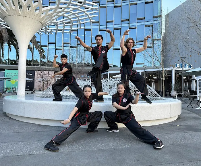 Concord Kung Fu Academy Picture 6