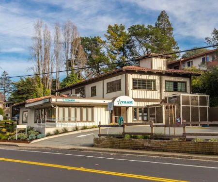 Performing Arts Academy of Marin