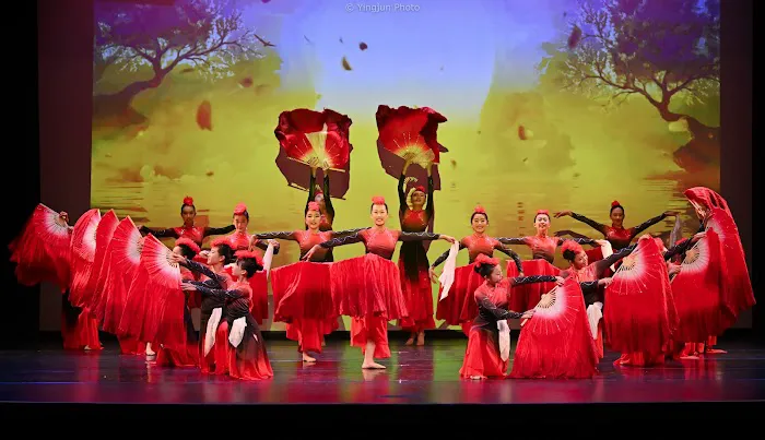 Tri-Valley Dance Academy Picture 4