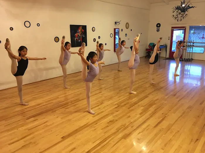Tri-Valley Dance Academy Picture 6