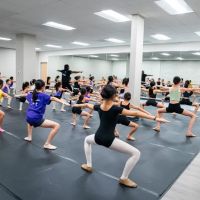 Tri-Valley Dance Academy ico