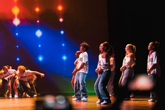 Chapkis Dance Picture 3