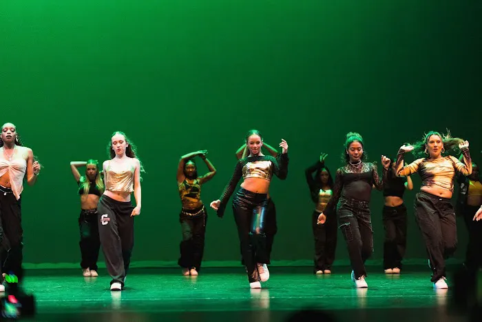 Chapkis Dance Picture 4