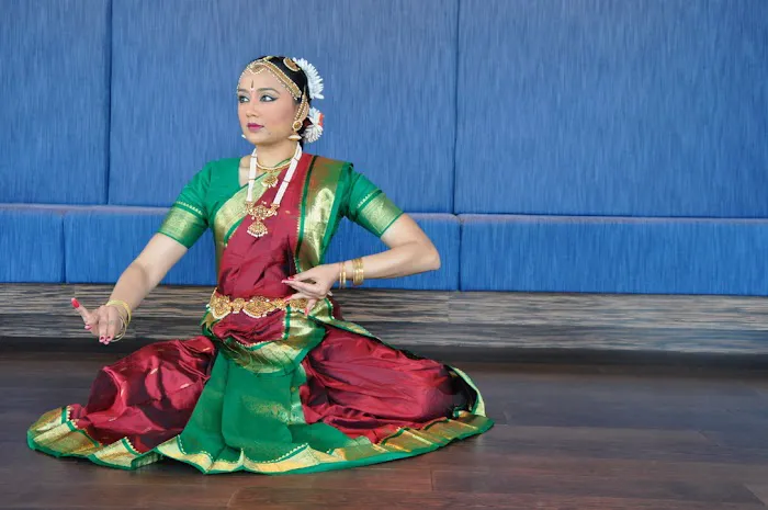 Saadhana School of Dance Picture 1