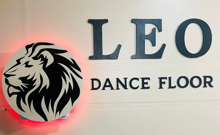 LEO Dance Floor Picture 8