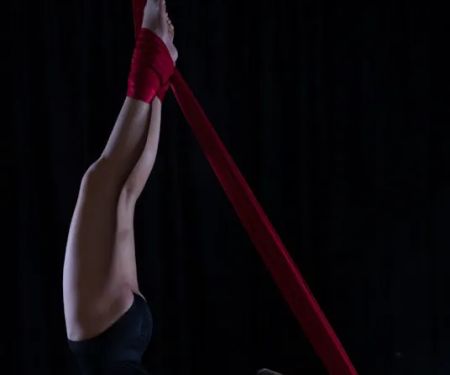 Aerial Dance Marin