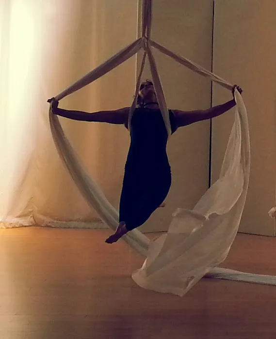 Aerial Dance Marin Picture 6