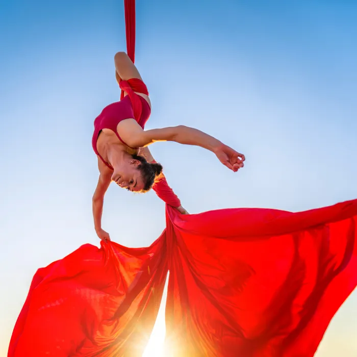 Aerial Dance Marin Picture 7