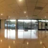 BodyVibe Studio ico