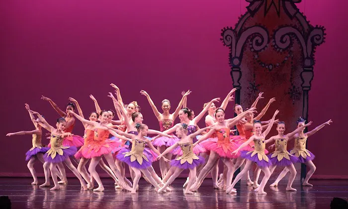 Stapleton School of the Performing Arts Picture 3