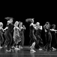 Open Floor Dance - Sunday Sausalito ico