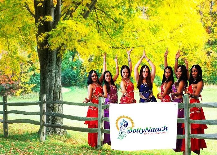 BollyNaach Dance Studio - Pleasanton Picture 3