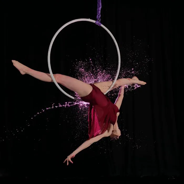 Twirly Studios Picture 3