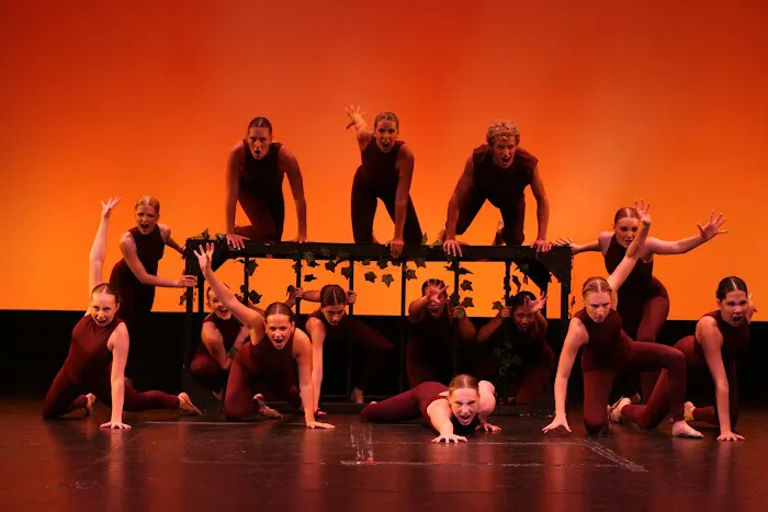 Academy of Danse Picture 5