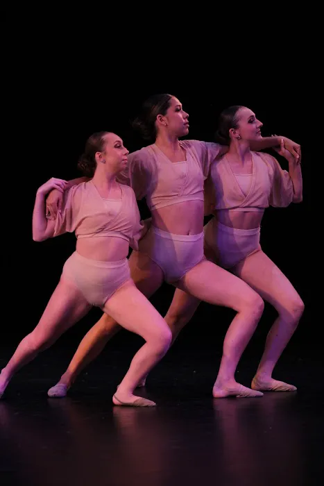 Academy of Danse Picture 2