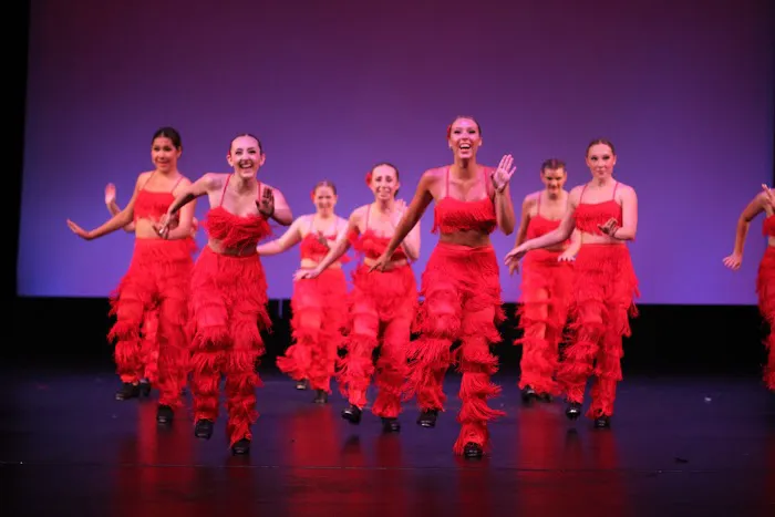 Academy of Danse Picture 4
