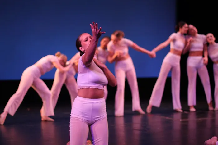 Academy of Danse Picture 6