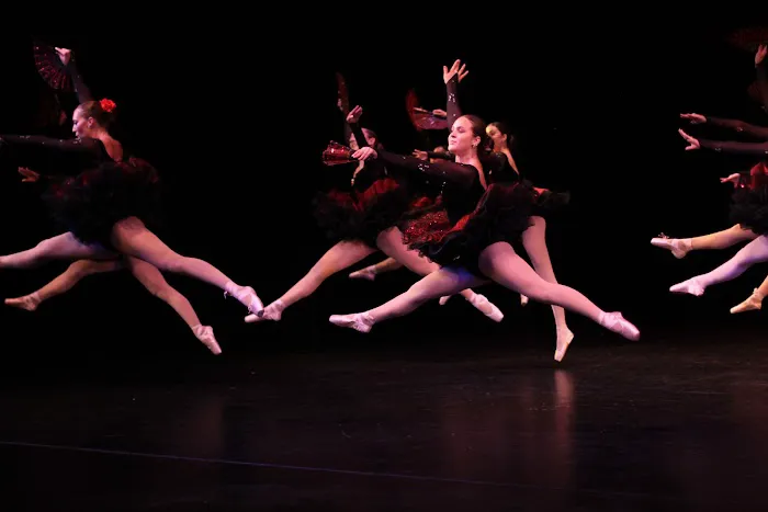 Academy of Danse Picture 8