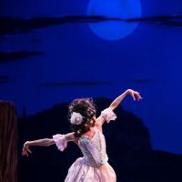 Vacaville Ballet Company ico