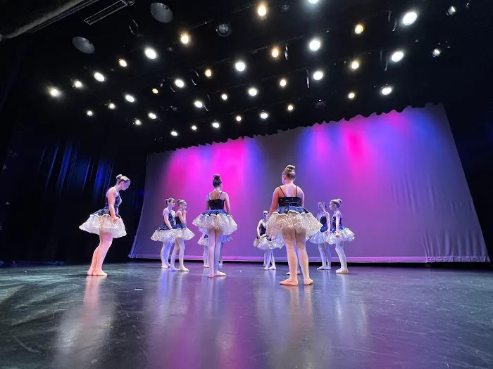 Omni Dance Academy Picture 3