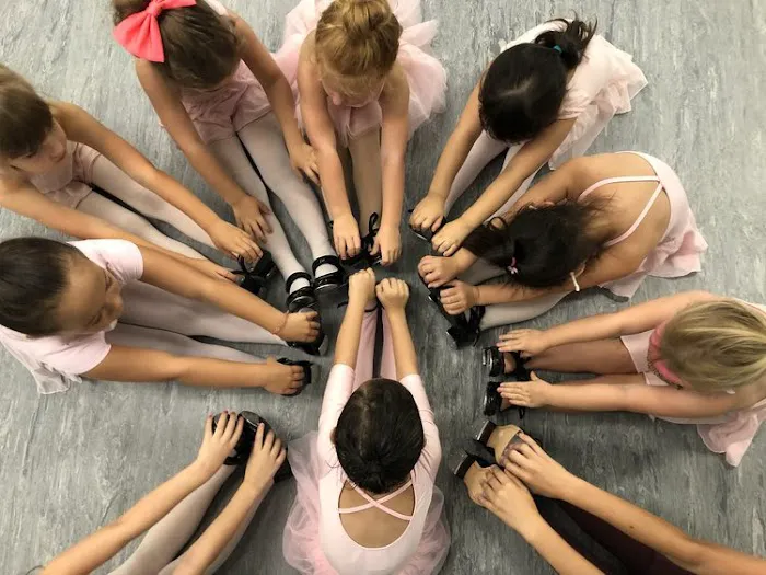 Omni Dance Academy Picture 5