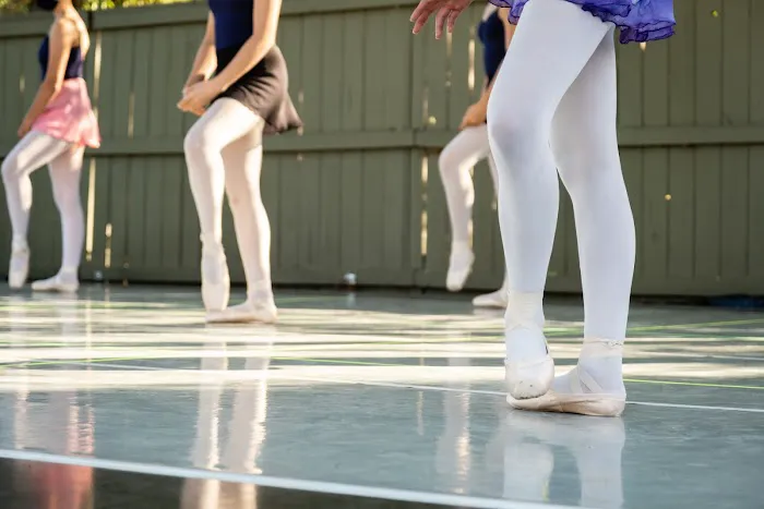 Sonoma Conservatory of Dance Picture 1