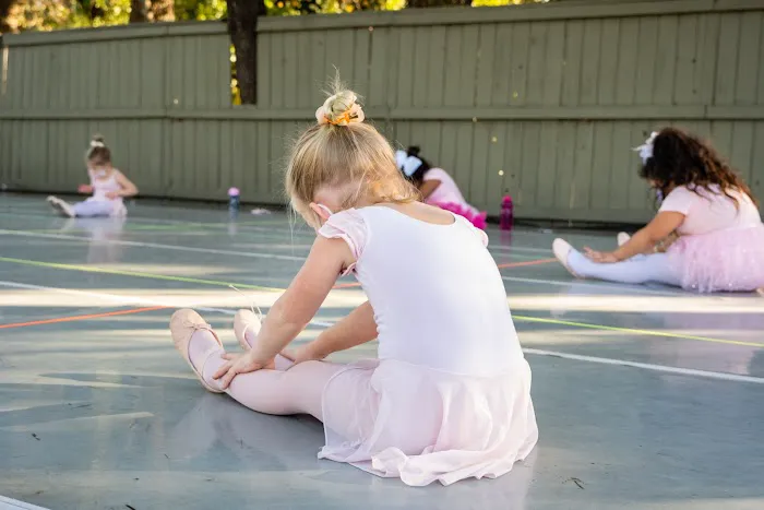 Sonoma Conservatory of Dance Picture 6