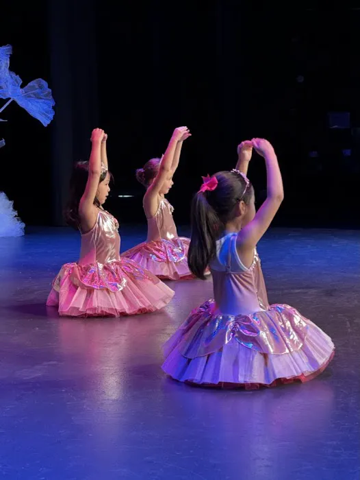 Tutu School Brentwood Picture 6