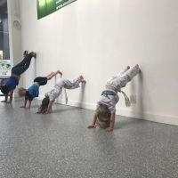 ABADÁ-Capoeira Marin ico