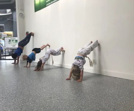 ABADu00c1-Capoeira Marin