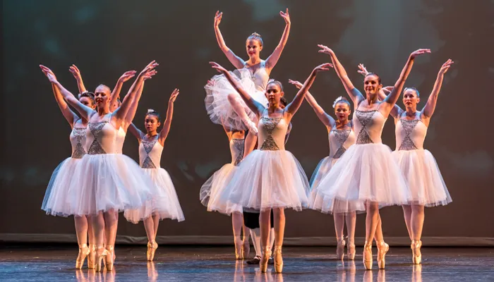 Contessi Ballet Picture 7