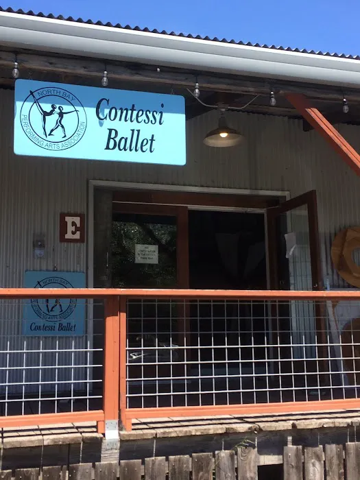 Contessi Ballet Picture 5
