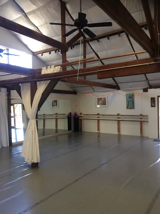 Contessi Ballet Picture 4
