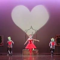 Classical and Contemporary Dance with Tamara Grose ico
