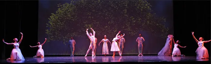 Classical and Contemporary Dance with Tamara Grose Picture 2
