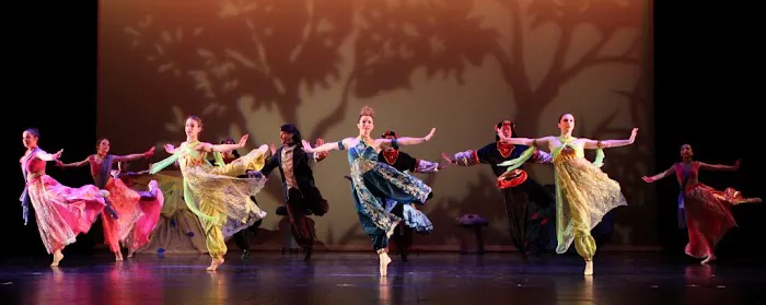 Classical and Contemporary Dance with Tamara Grose Picture 4