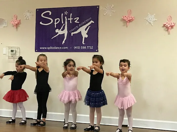 Splitz Dance Academy Picture 5